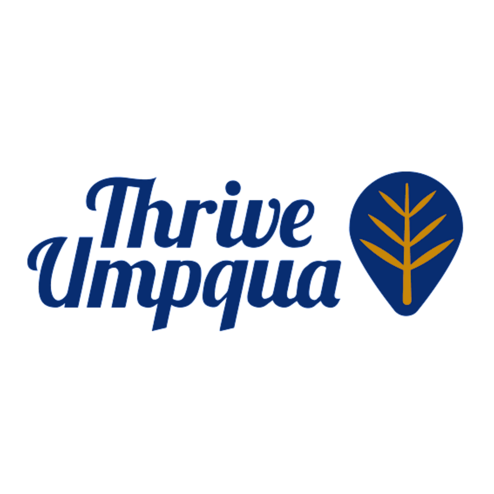 Step Up for Health partner logo
